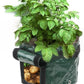 Garden Plant and Vegetable Grow Bag Container