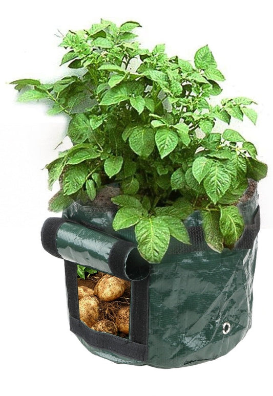 Garden Plant and Vegetable Grow Bag Container